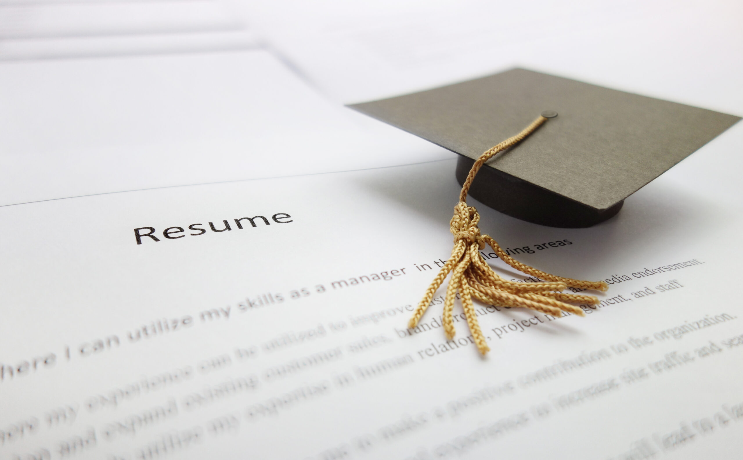 new graduate jobs